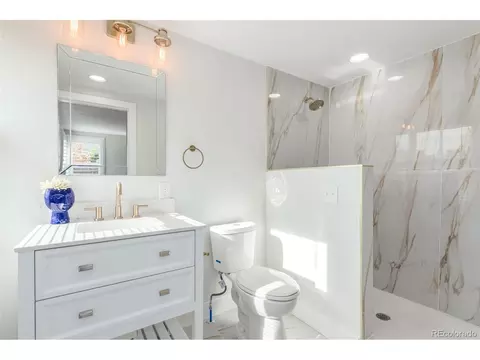 760 Stuart St, Denver, CO 80204 photo 16