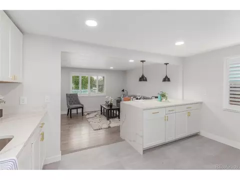 760 Stuart St, Denver, CO 80204 photo 11