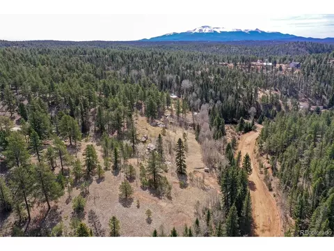 926 W Bison Creek Trl, Divide, CO 80814 photo 20