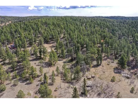 926 W Bison Creek Trl, Divide, CO 80814 photo 26