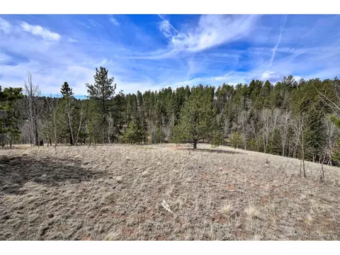 926 W Bison Creek Trl, Divide, CO 80814 photo 12