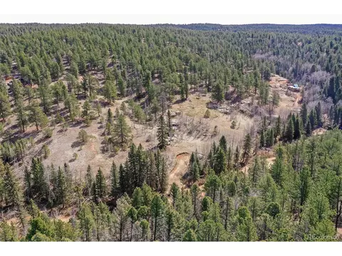 926 W Bison Creek Trl, Divide, CO 80814 photo 19