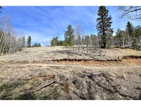 926 W Bison Creek Trl, Divide, CO 80814 photo 17