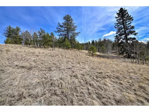 926 W Bison Creek Trl, Divide, CO 80814 photo 15