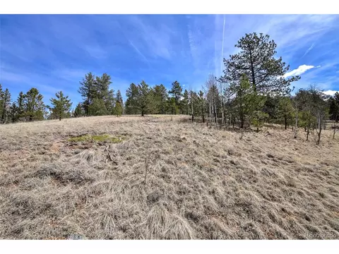 926 W Bison Creek Trl, Divide, CO 80814 photo 14