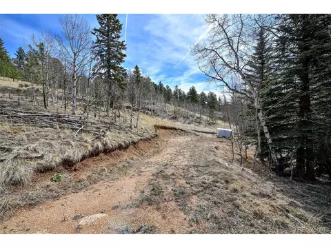 926 W Bison Creek Trl, Divide, CO 80814 photo 3
