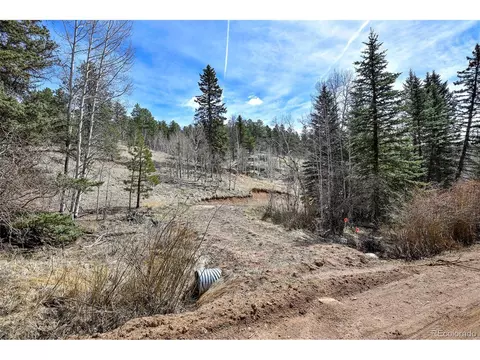 926 W Bison Creek Trl, Divide, CO 80814