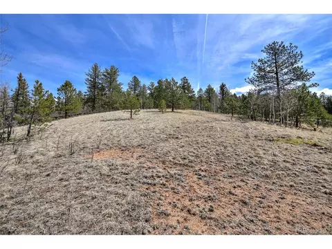 926 W Bison Creek Trl, Divide, CO 80814 photo 13
