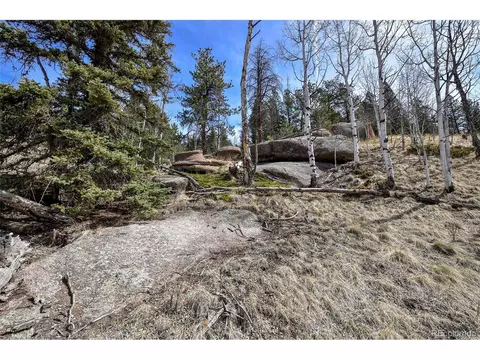 926 W Bison Creek Trl, Divide, CO 80814 photo 6
