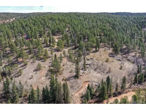 926 W Bison Creek Trl, Divide, CO 80814 photo 25
