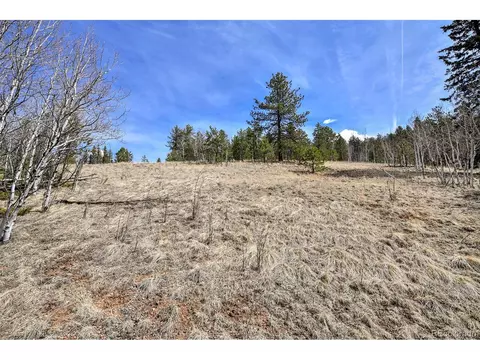926 W Bison Creek Trl, Divide, CO 80814 photo 16
