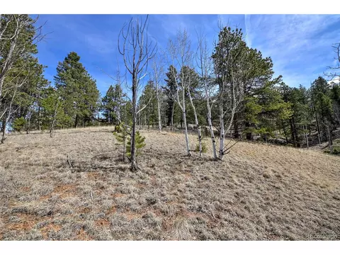 926 W Bison Creek Trl, Divide, CO 80814 photo 11