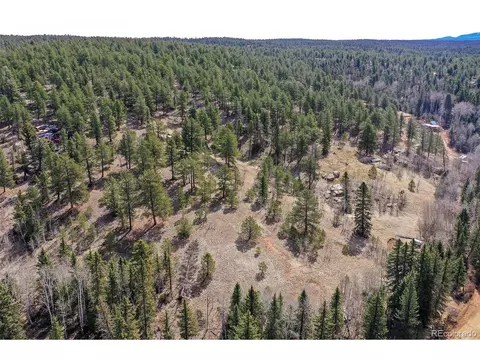 926 W Bison Creek Trl, Divide, CO 80814 photo 22