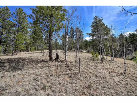 926 W Bison Creek Trl, Divide, CO 80814 photo 10