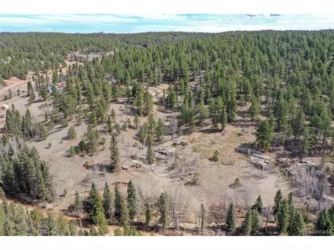 926 W Bison Creek Trl, Divide, CO 80814 photo 23