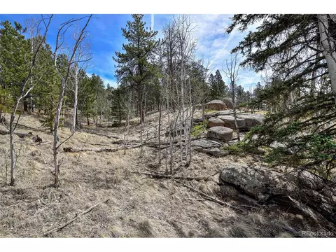 926 W Bison Creek Trl, Divide, CO 80814 photo 7