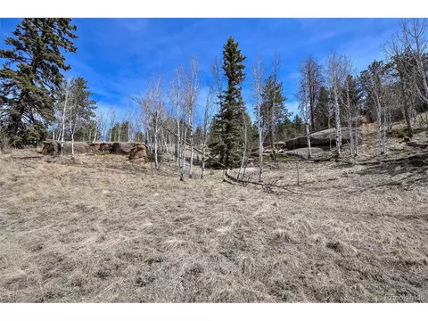 926 W Bison Creek Trl, Divide, CO 80814 photo 4
