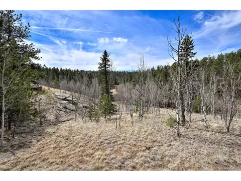 926 W Bison Creek Trl, Divide, CO 80814 photo 9