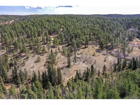 926 W Bison Creek Trl, Divide, CO 80814 photo 18