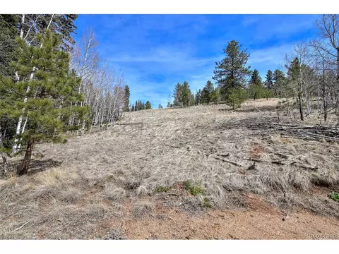 926 W Bison Creek Trl, Divide, CO 80814 photo 2