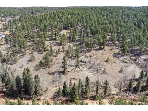926 W Bison Creek Trl, Divide, CO 80814 photo 24