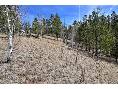 926 W Bison Creek Trl, Divide, CO 80814 photo 8