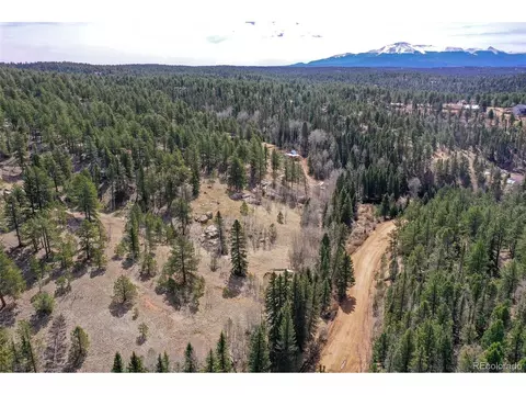 926 W Bison Creek Trl, Divide, CO 80814 photo 21