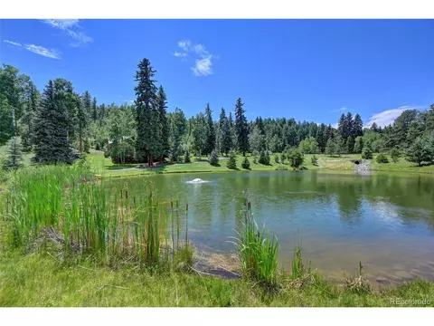 13412 Douglass Ranch Dr, Pine, CO 80470 photo 33