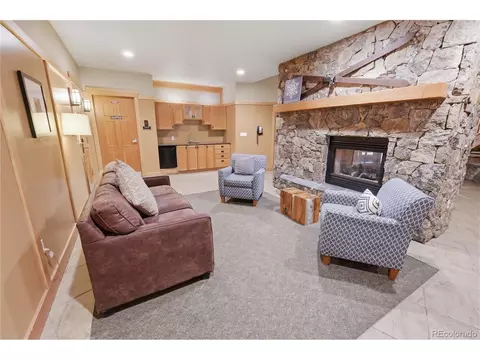 Living - 910 Copper Rd #202, Copper Mountain, CO 80443 photo 5 of 6