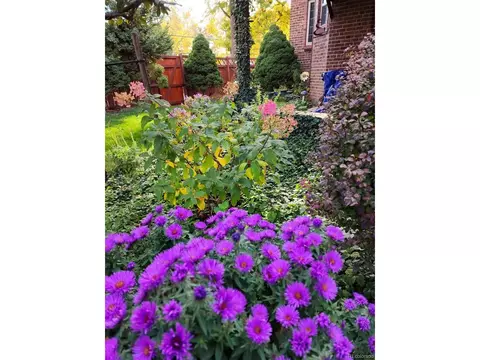1600 Leyden St, Denver, CO 80220 photo 34