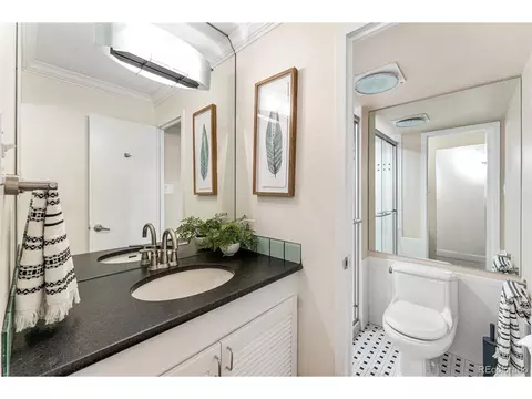 955 Eudora St #701E, Denver, CO 80220 photo 23