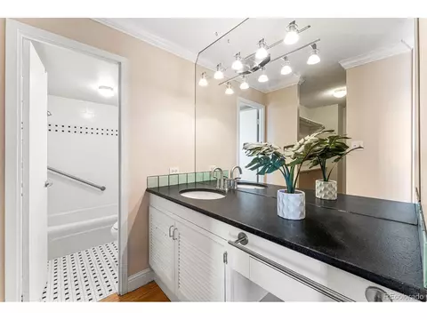 955 Eudora St #701E, Denver, CO 80220 photo 19