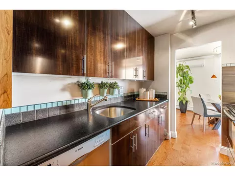 955 Eudora St #701E, Denver, CO 80220 photo 14