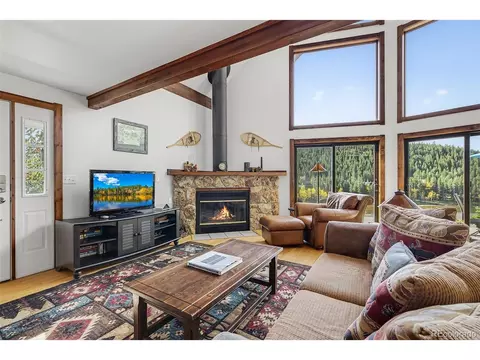 1300 Pine Cone Cir, Ward, CO 80481 photo 9