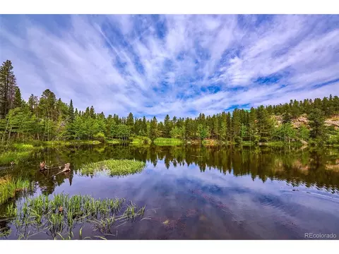 1300 Pine Cone Cir, Ward, CO 80481 photo 25