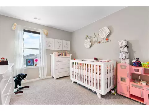 7412 E 159th Pl, Thornton, CO 80602 photo 18