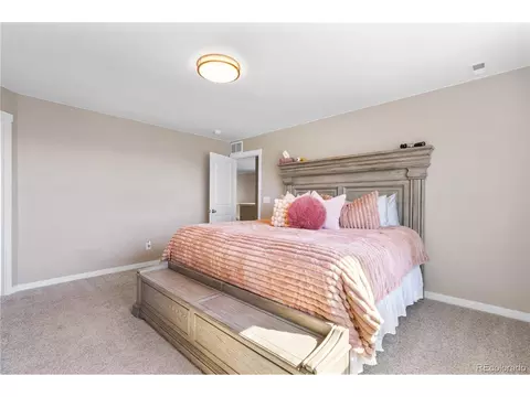 7412 E 159th Pl, Thornton, CO 80602 photo 21