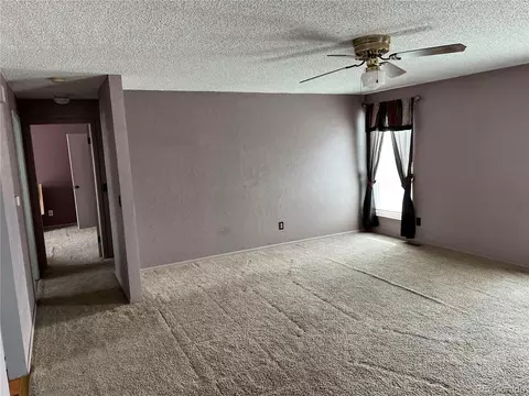 4241 E 91st Dr, Thornton, CO 80229 photo 4