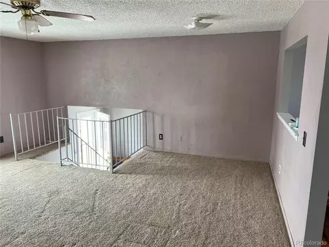 4241 E 91st Dr, Thornton, CO 80229 photo 3