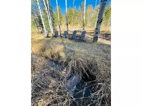 216620 Indian Springs Rd, Conifer, CO 80433