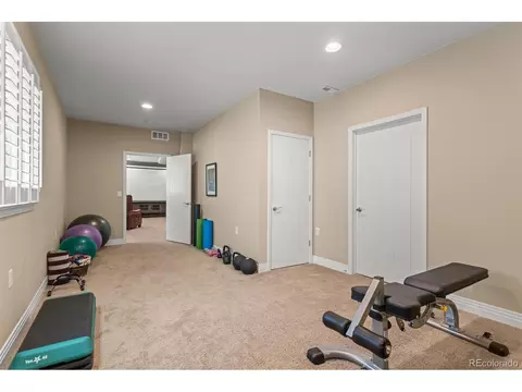 8272 E 55th Pl, Denver, CO 80238 photo 29