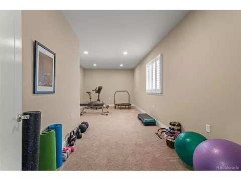 8272 E 55th Pl, Denver, CO 80238 photo 28