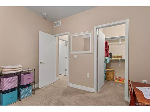 8272 E 55th Pl, Denver, CO 80238 photo 35