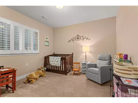 8272 E 55th Pl, Denver, CO 80238 photo 34