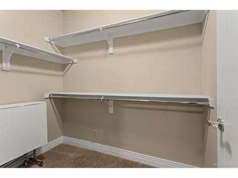 8272 E 55th Pl, Denver, CO 80238 photo 32