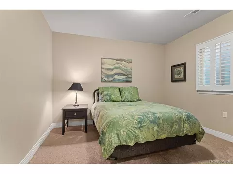 8272 E 55th Pl, Denver, CO 80238 photo 30