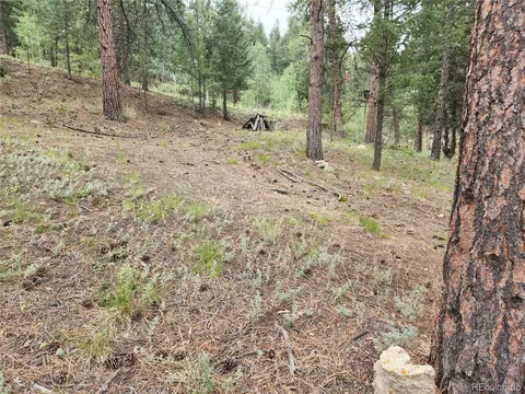 351 Bailey Dr, Bailey, CO 80421 photo 10