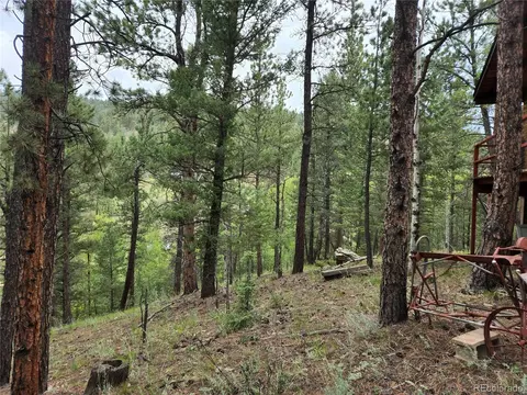 351 Bailey Dr, Bailey, CO 80421 photo 8