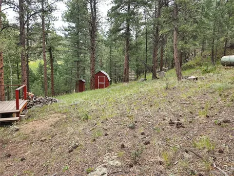 351 Bailey Dr, Bailey, CO 80421 photo 9