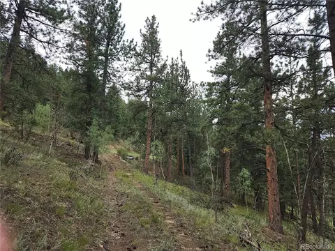 351 Bailey Dr, Bailey, CO 80421 photo 7
